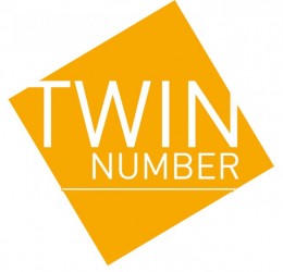 Twin Number